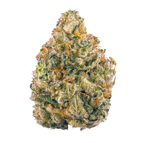 ak 47 strain