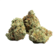 amnesia haze
