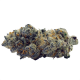 Apple Fritter Strain