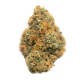 Berry White Strain