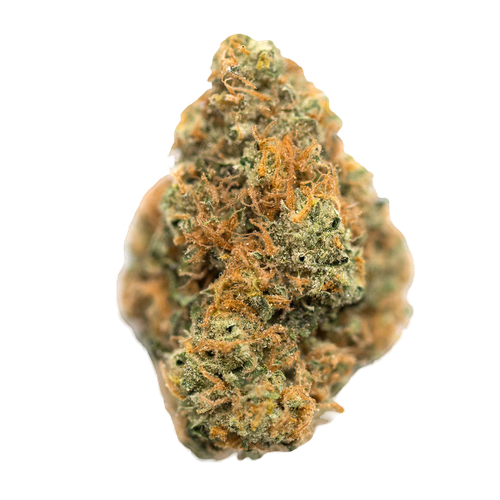 Berry White Strain