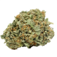 Black domina strain