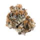 blueberry strain
