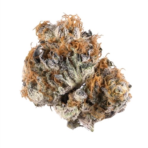 blueberry strain