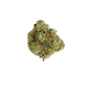 chem dawg strain