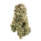 Cherry Pie Strain