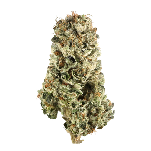 Cherry Pie Strain