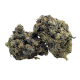 Death Star Strain
