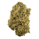 Durban Poison strain