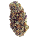 Forbidden Fruit Strain