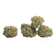 God's Gift Strain