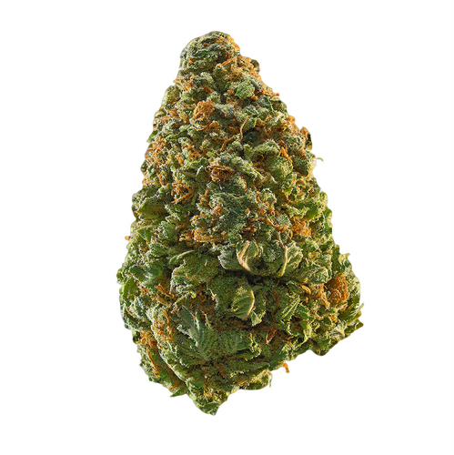 green crack strain