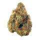 Hindu Kush