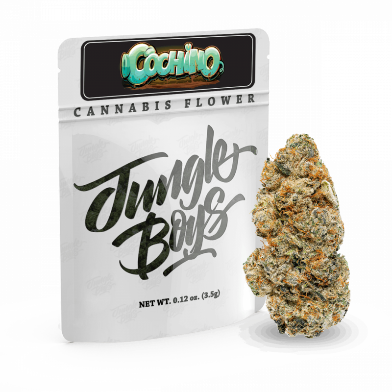 Jungle Boys Packs
