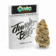 Jungle Boys Packs