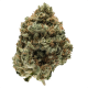 kosher kush