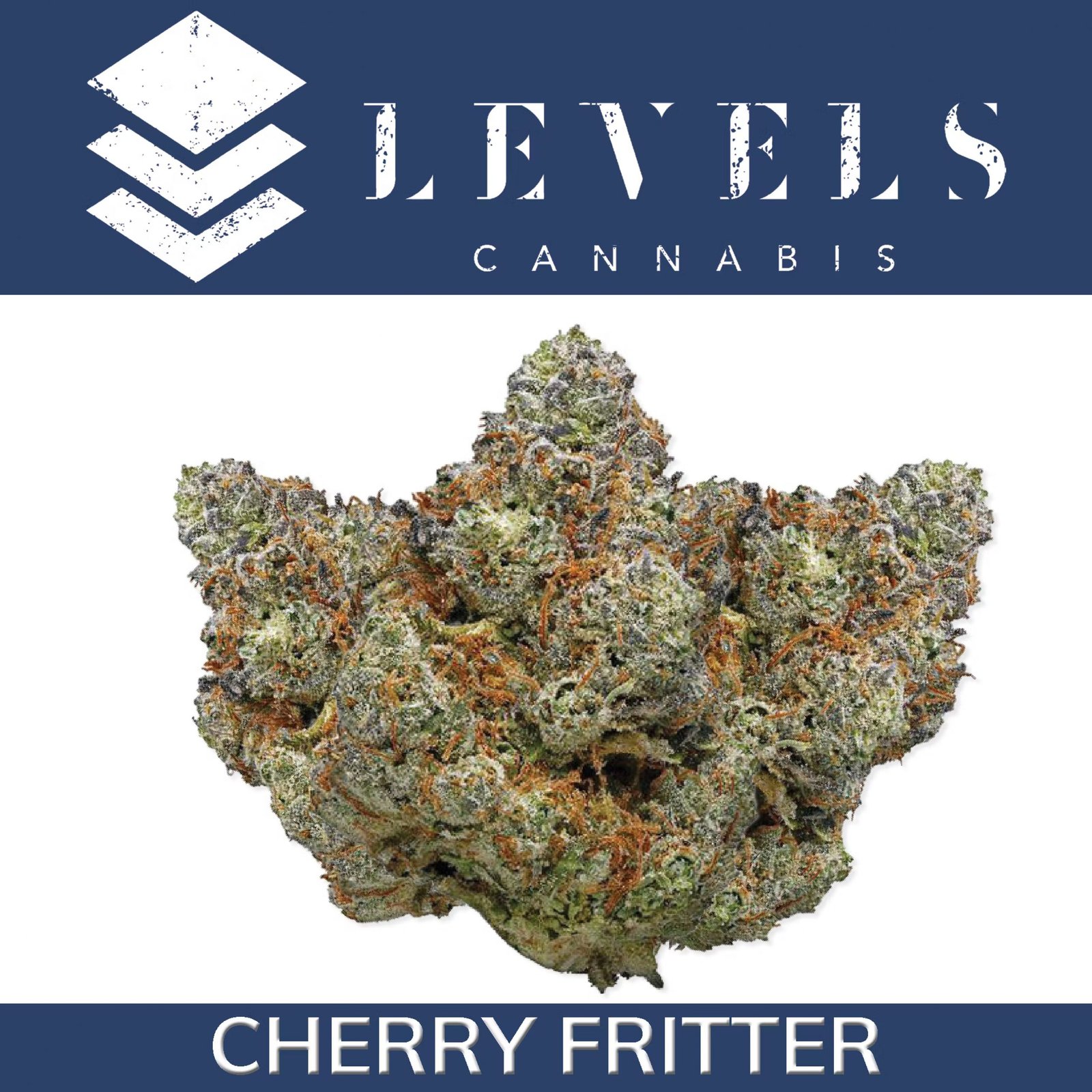 levels strain
