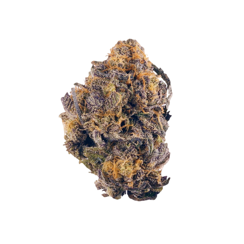 purple kush