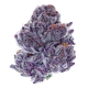 Purple Punch Strain