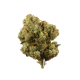 sour diesel strain