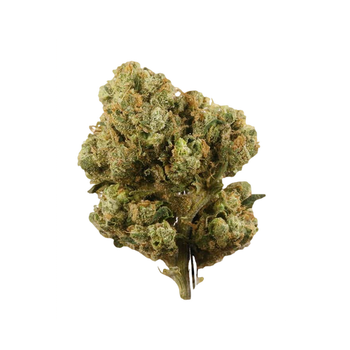 sour diesel strain