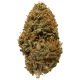 Sour Haze Strain
