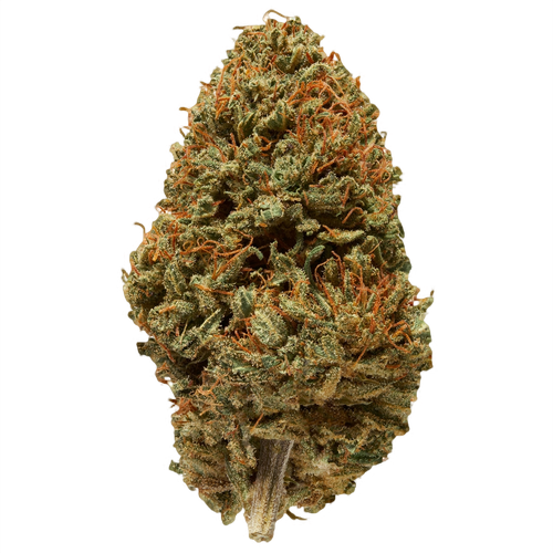 Sour Haze Strain