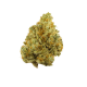 sour tangie strain