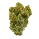 Super Silver Haze