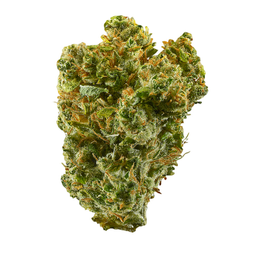 Super Silver Haze
