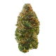 Trainwreck Strain
