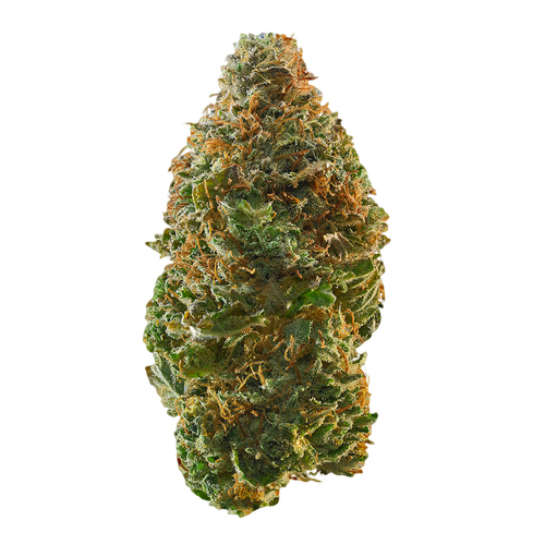 Trainwreck Strain