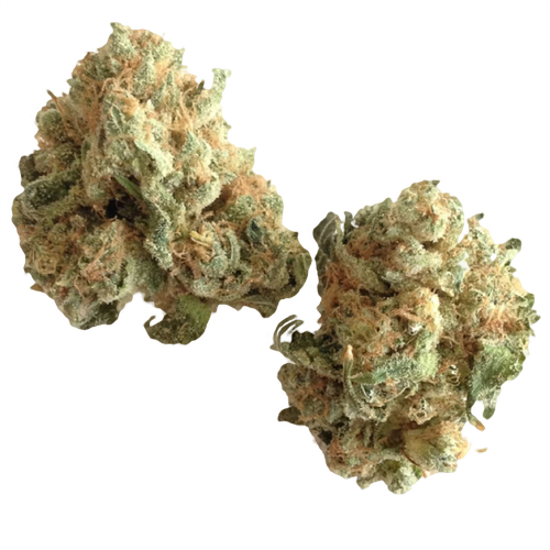 White Widow Strain