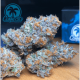 gelonade strain